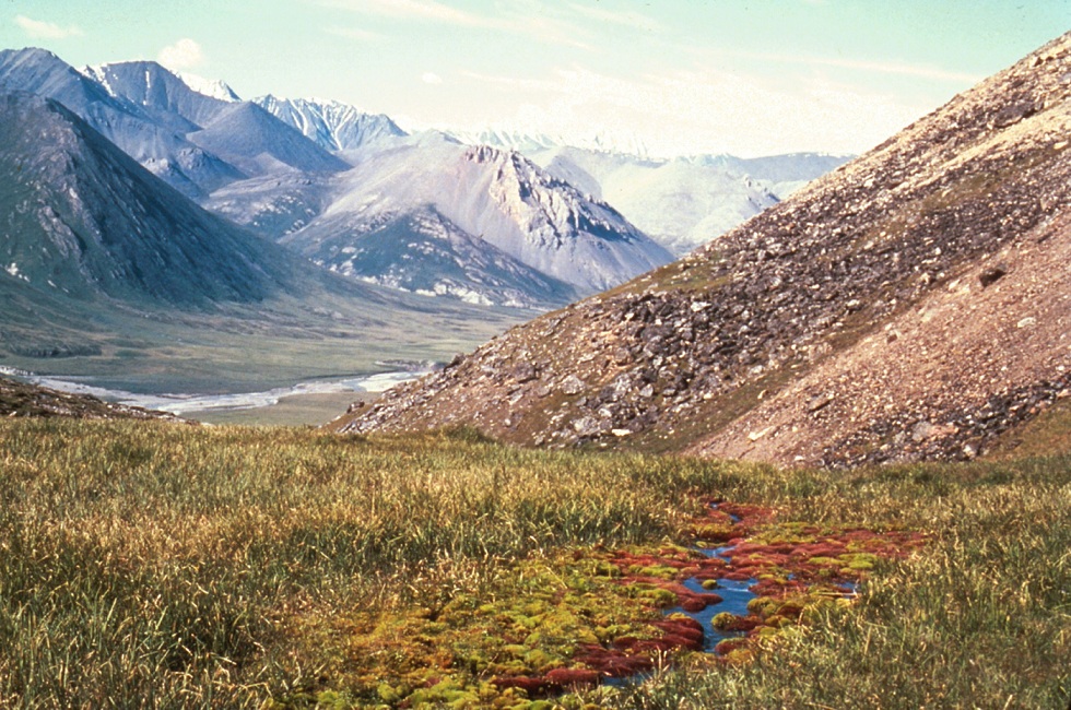 In Arctic National Wildlife Refuge, Pivot Capital won’t guarantee oil investigation